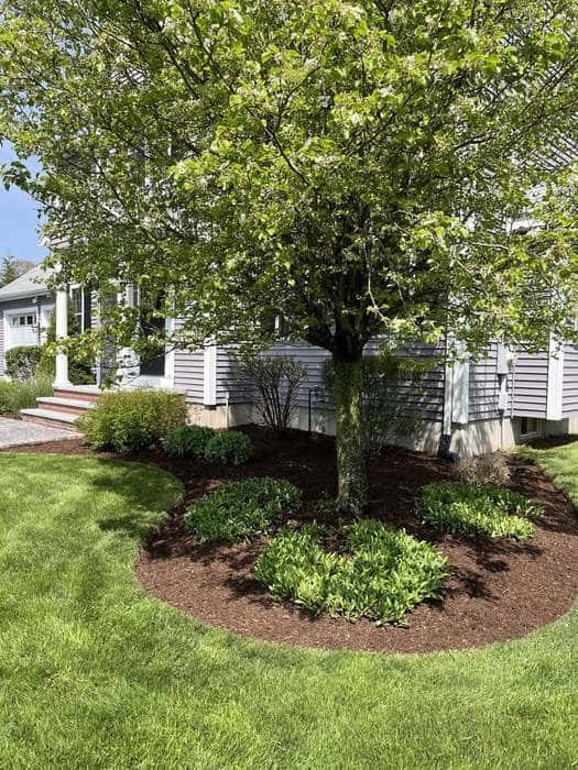 Welch Landscaping project — South Shore lawn care and landscape construction